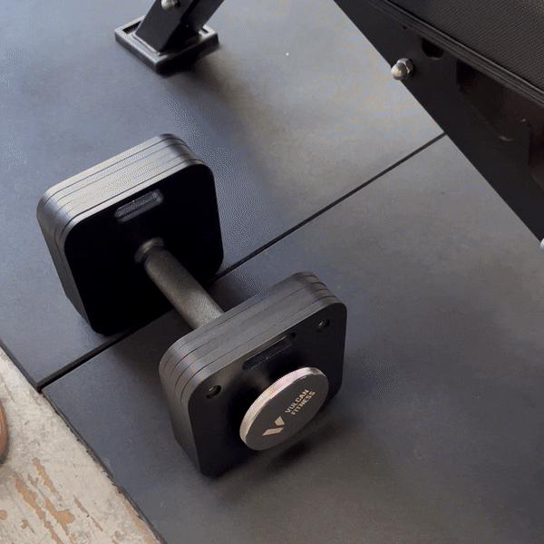 adjustable dumbbells