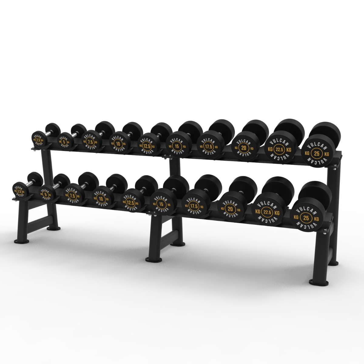 2.5kg - 25kg dumbbell set with rack