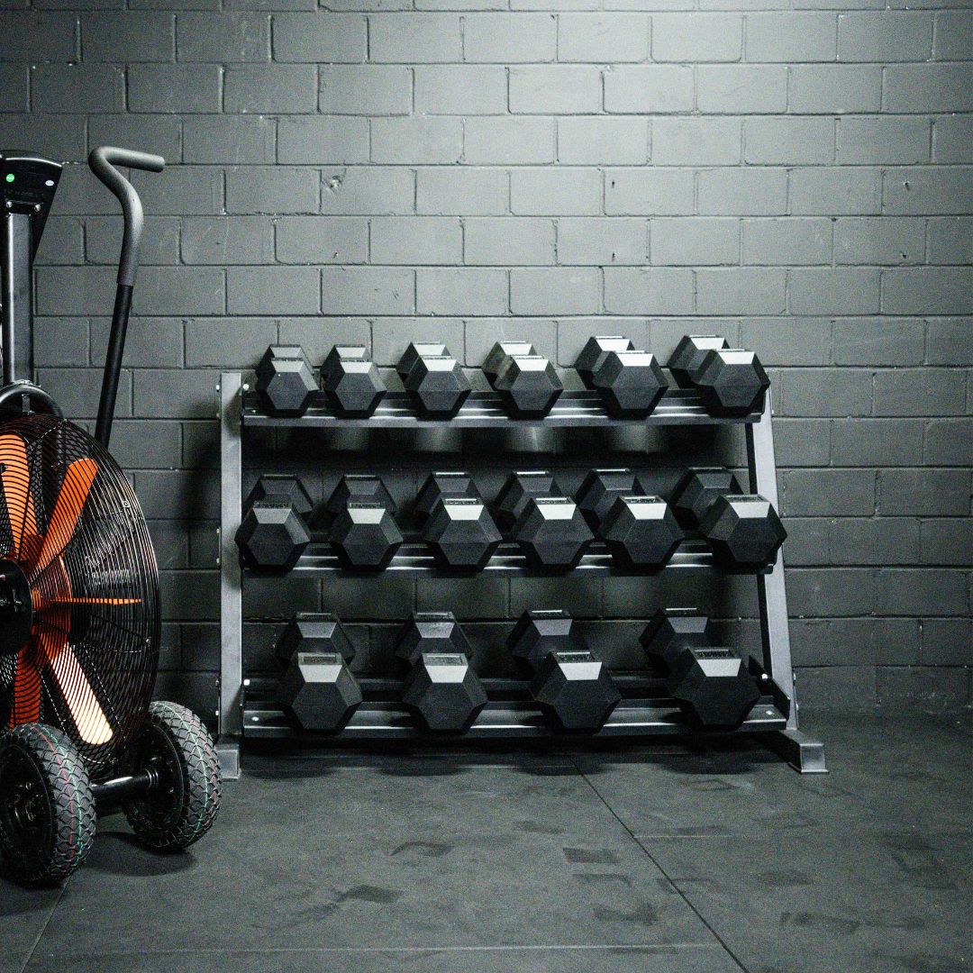 Garage discount gym dumbbells