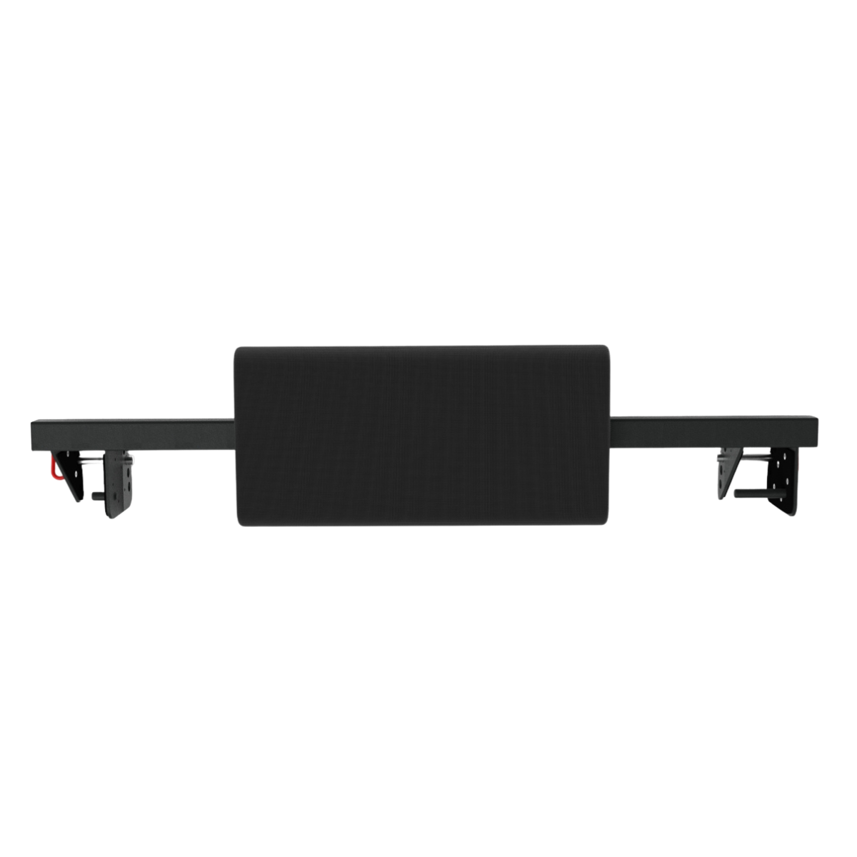 Preacher curl and hip thrust