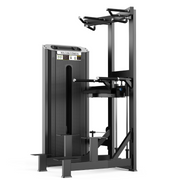 dip and pullup machine